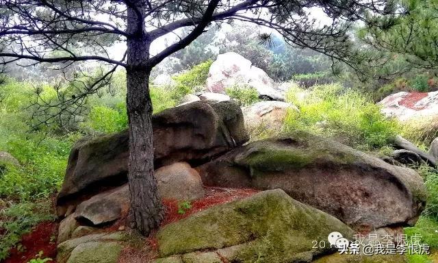 蓮花山：小泰山確非浪得虛名
