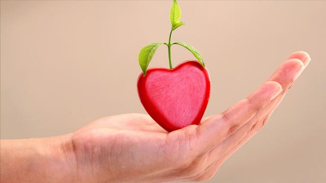 心慌心悸失眠，这是心虚气血不足有痰饮的表现，试试中医的安魂汤