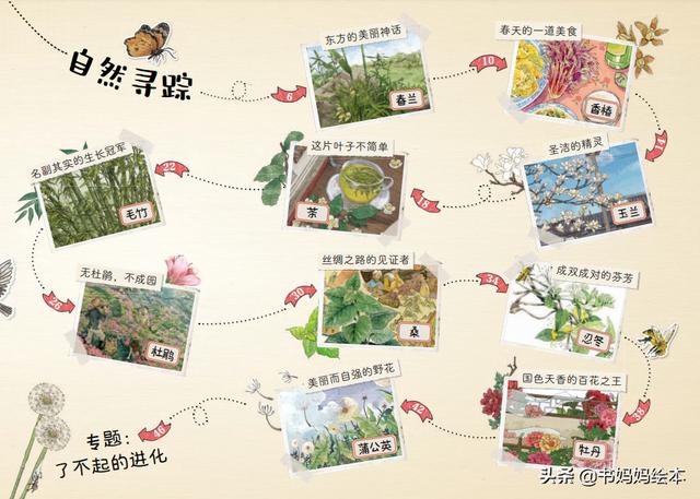 10本植物科普书籍推荐，让孩子在家也能探索大自然的奥秘