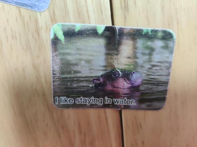 这就是孩子眼里的我们的一家，我该检讨