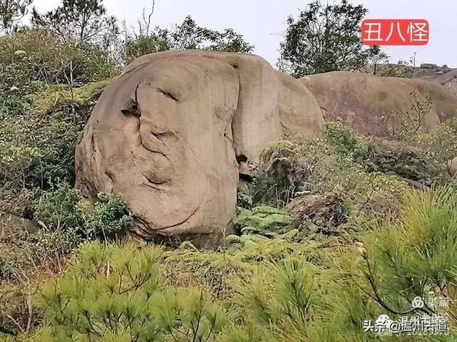 大羅山有處二師兄奇石，惟妙惟肖，你可找到過？