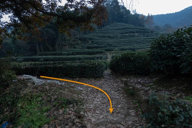 杭州登山徒步路線17：野路有趣，但不建議盲目去爬