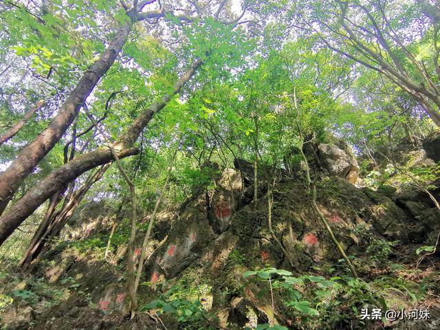 廣東粵北有座道觀，全國唯一一處以福字命名，其景觀更是一絕