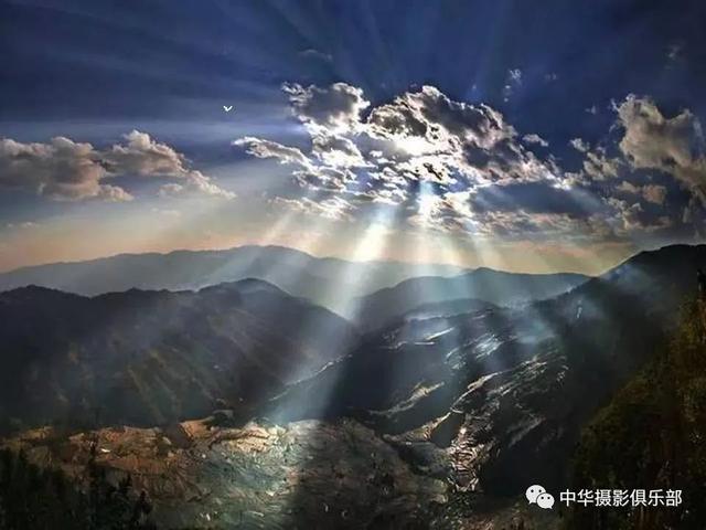 太美了！金奖摄影作品欣赏——