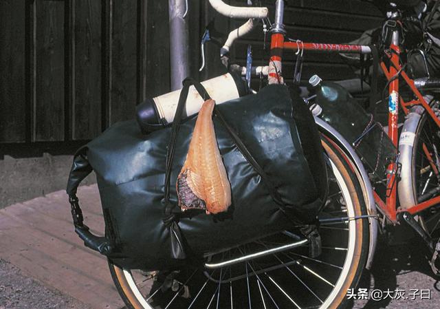 面對《不去會死》，你會如何選擇？