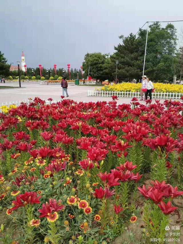 文章图片16