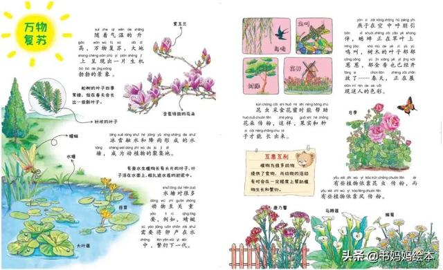 《中国幼儿百科全书》|引导孩子寻找答案、丰富科学知识的百科