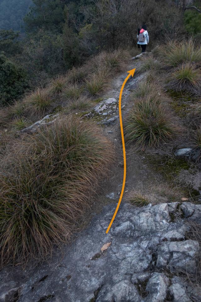 杭州登山徒步路線17：野路有趣，但不建議盲目去爬