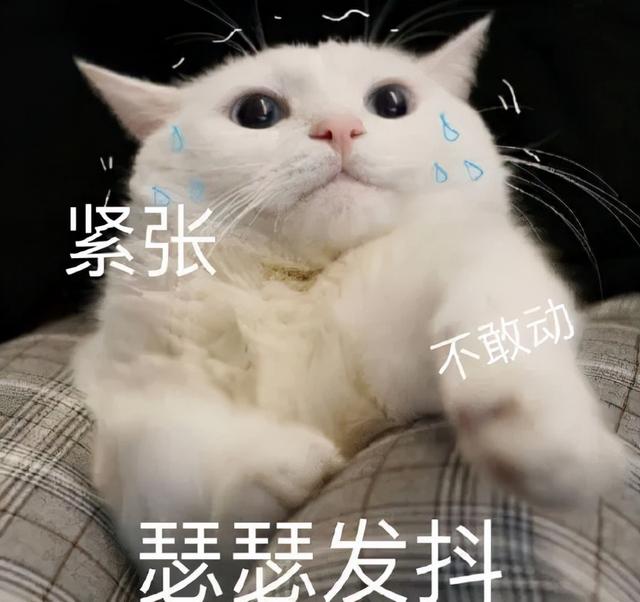 行程碼帶星號什麽情況？對出行有影響嗎？