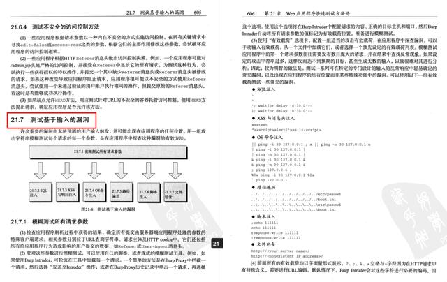 622页黑客攻防技术宝典，攻防技术一目了然（pdf开放下载）