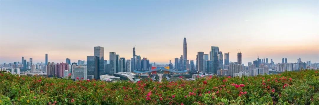 黑龙江“秒删”救市表态，南北经济真相有变化吗？