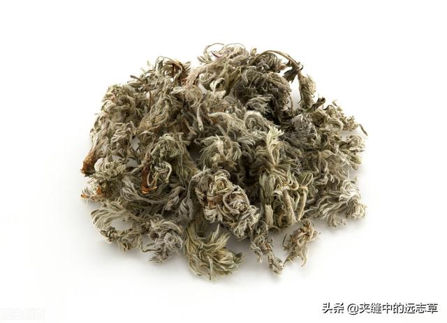 结石？送你三味中药，清热利湿，散结消石，不来了解下吗？