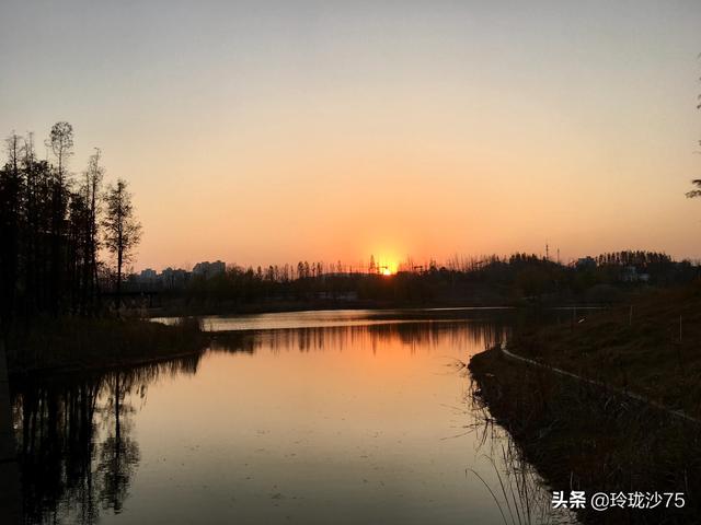 長沙唯一擁有戶外足球場的公園，更有大片水杉美景等你來