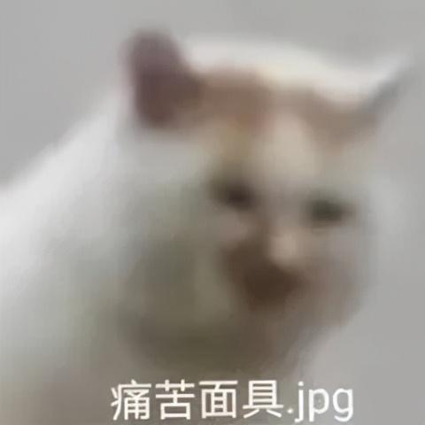 都说四神汤健脾养胃，为什么我吃了便秘？