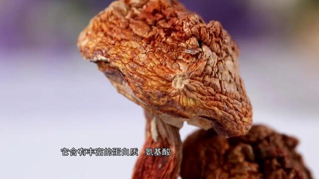 中医靓汤秘方 | 冬季养生先养肾！淮山枸杞很滋阴，补肾抗寒安过冬