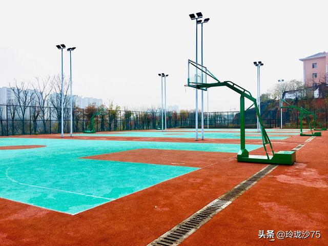 長沙唯一擁有戶外足球場的公園，更有大片水杉美景等你來