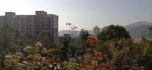 雲彩下的山城系列（三）