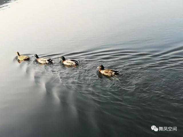 房山牛口峪濕地公園，沒想到風景如此優美