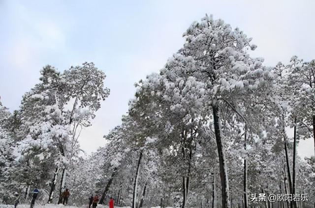 年末最佳11個旅行地推薦，再冷的冬天，也要活出個熱氣騰騰
