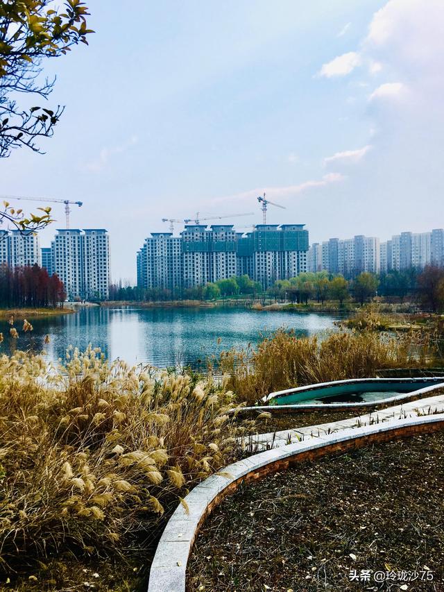 長沙唯一擁有戶外足球場的公園，更有大片水杉美景等你來