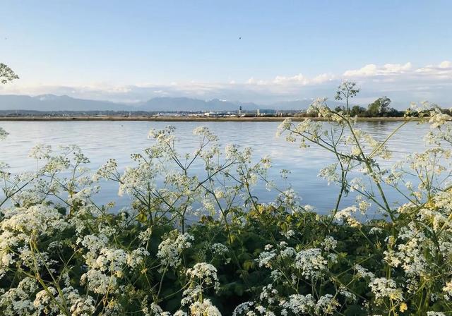 Richmond：大自然造就的島城