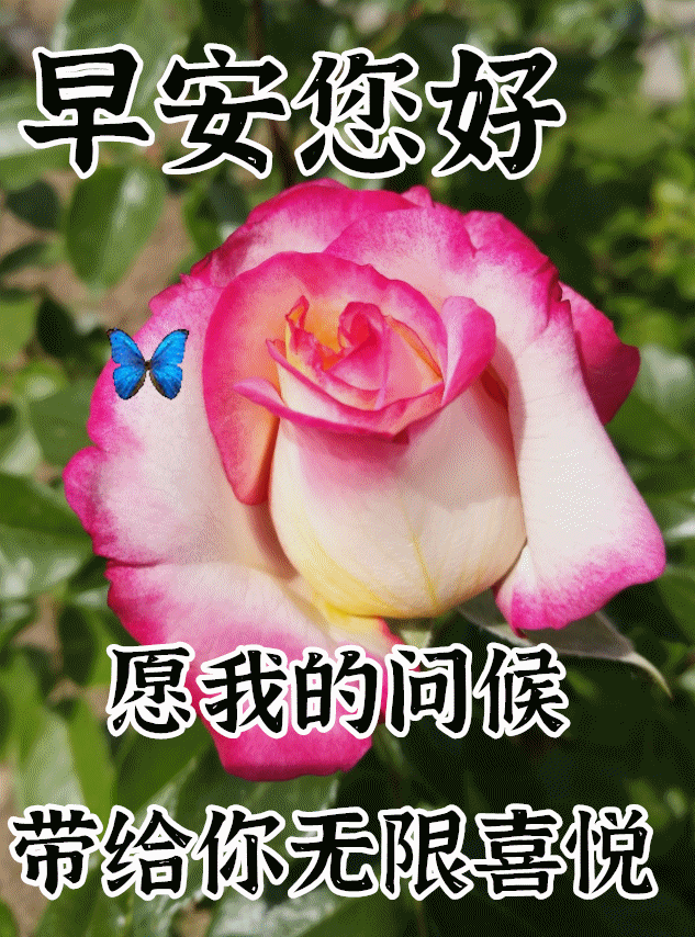 早安的图片(关于早安的图片)