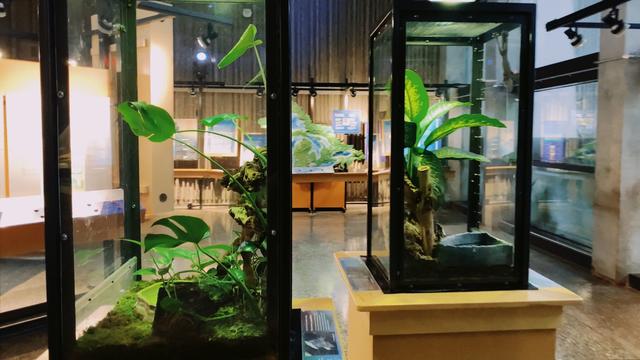 不去動物園就去安大略科學中心——多倫多旅行十天日記Day9