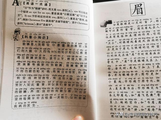 孩子识字，从汉字文化学起还是在量上努力？前者更符合大语文要求