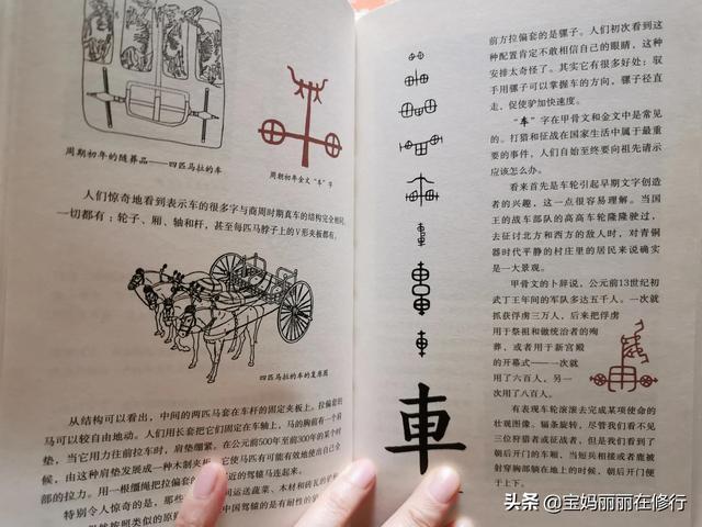 孩子识字，从汉字文化学起还是在量上努力？前者更符合大语文要求