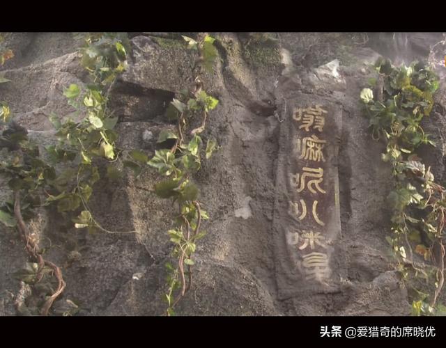 唐僧騎行去西天取經，行程十萬八千裏，如果做自媒體畫風會怎樣