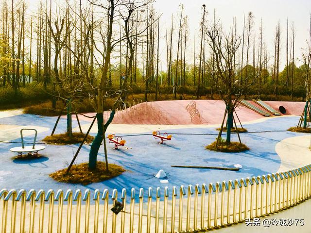 長沙唯一擁有戶外足球場的公園，更有大片水杉美景等你來