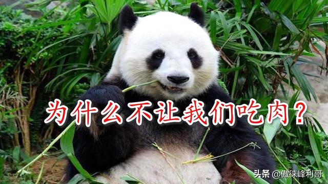 中国人吃肉究竟得罪了谁？背后的真相：西方新一代人造肉商业帝国