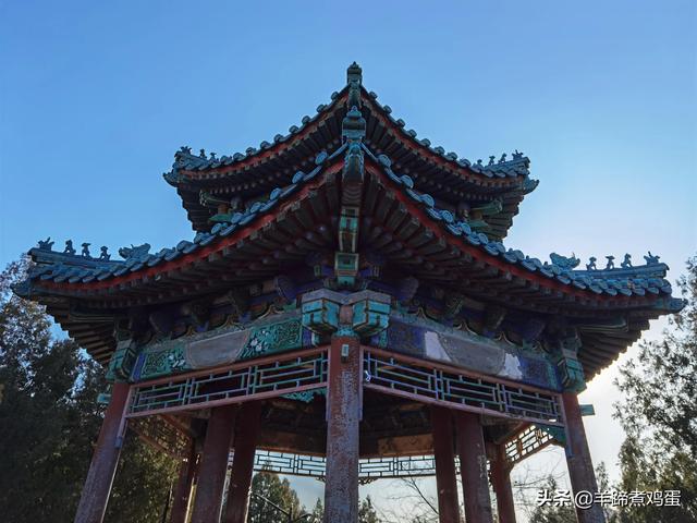 一隅山水鬧市藏 精巧布景多風光——北京東單公園冬日時光