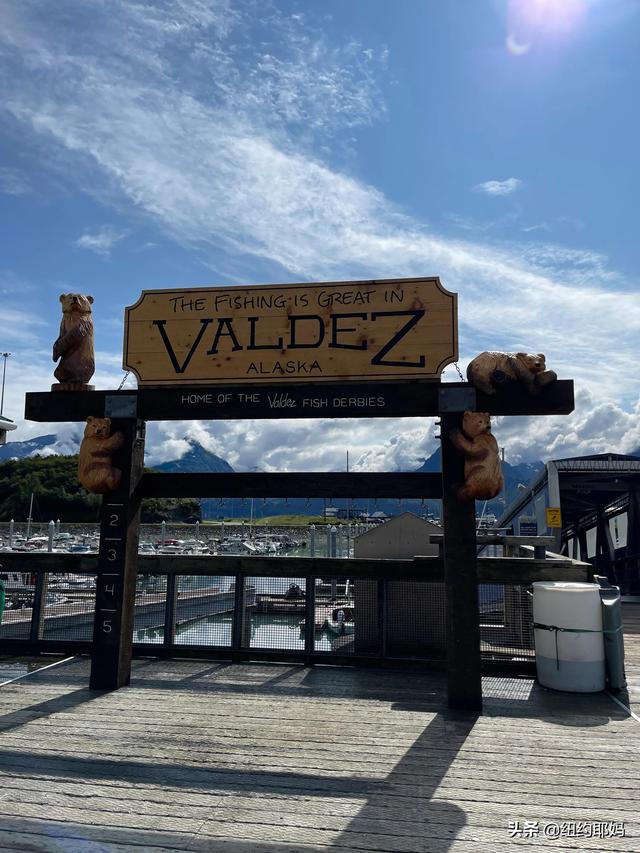 夢幻荒野阿拉斯加（14）Valdez看熊抓魚和三文魚洄遊