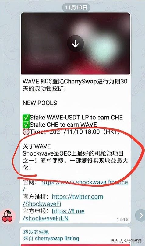 「曝光」shockwave项目方跑路，樱桃官方推卸责任玩家诉求无门？