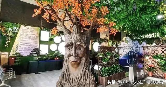 雙龍溝最全打卡攻略出爐，推給朋友絕對沒錯！