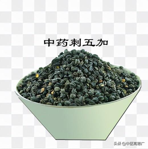 老中医说刺五加，益气健脾，补肾安神的中药本草