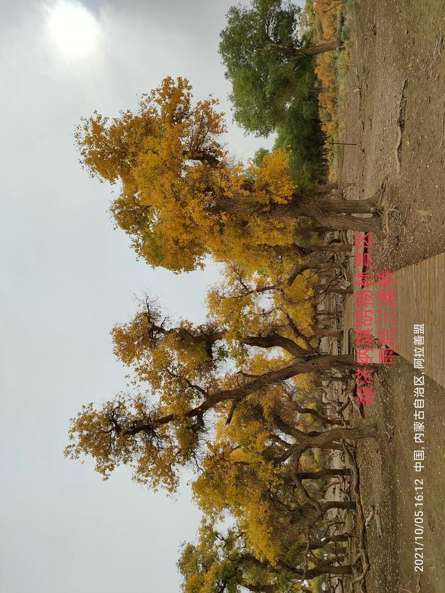 西行漫記之10月5日內蒙古篇
