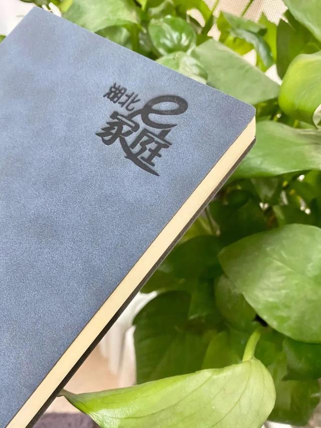 钱志亮：如何帮助孩子克服惰性？