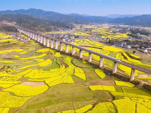 阿里腾讯各投1000亿元 互联网企业助力共同富裕在行动