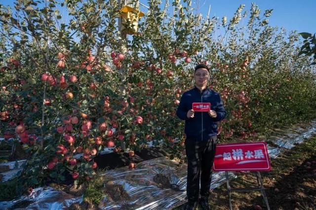 拼多多一店铺与迪士尼推出联名款苹果，出厂前每颗苹果要拍32张照片