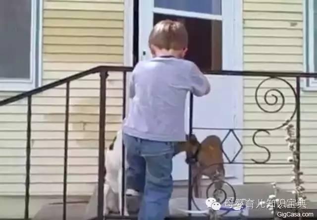 熊孩子的头，无所不卡