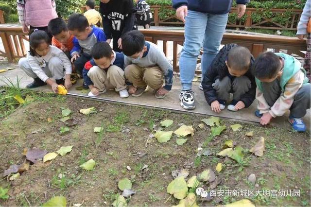 新城区大明宫幼儿园秋末冬初搭建“温室大棚”