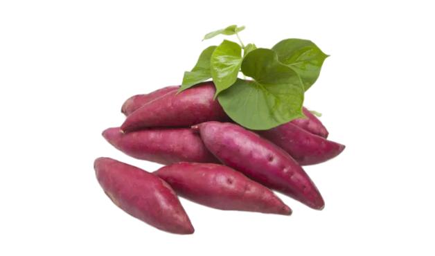 其貌不扬，营养满满——科学认识薯类