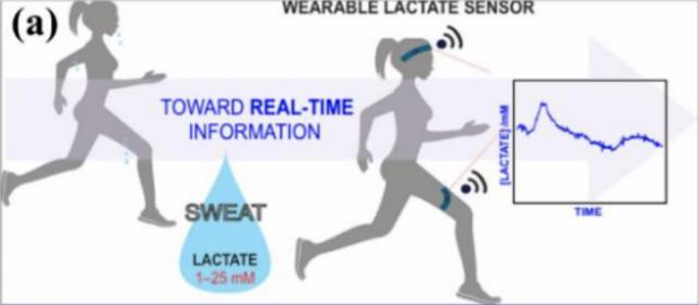 苏炳添：柔性可穿戴传感器运动监测应用 | 论文摘录和全文下载