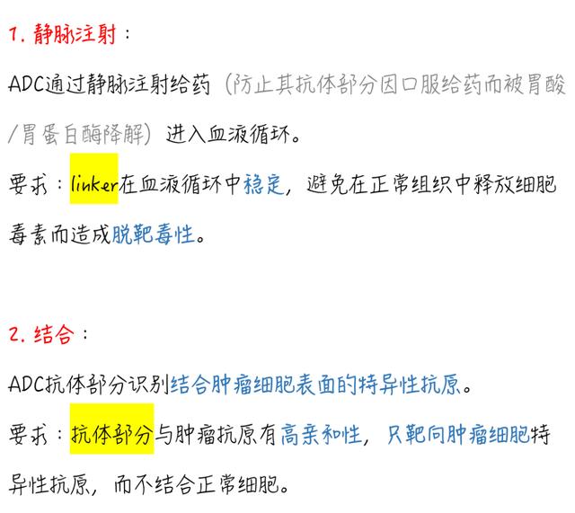 一文了解｜ADC在抗腫瘤中發揮細胞毒作用的機制