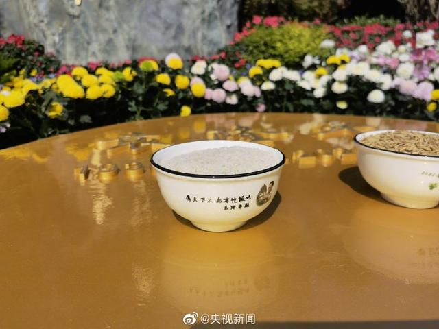 袁爷爷墓上放着两碗米：一碗白米，一碗粳米