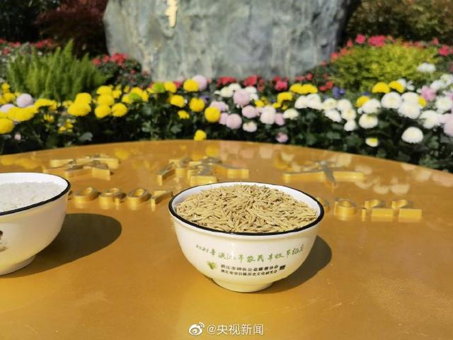 袁爷爷墓上放着两碗米：一碗白米，一碗粳米