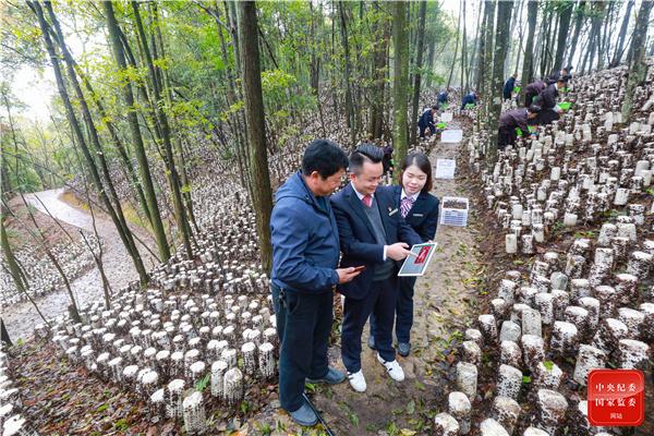 小康相册｜数字经济蓬勃发展