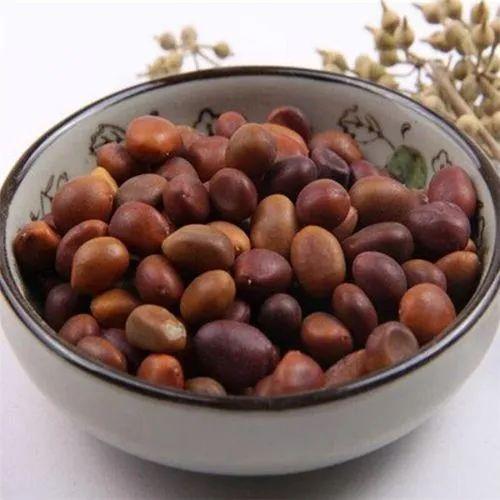 国医大师路志正：祛除湿浊经验二十三则